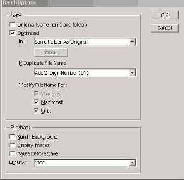   Batch Options